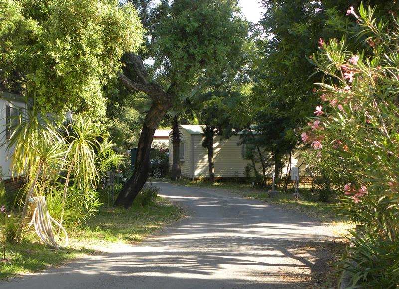 Camping le dattier